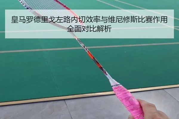 皇马罗德里戈左路内切效率与维尼修斯比赛作用全面对比解析